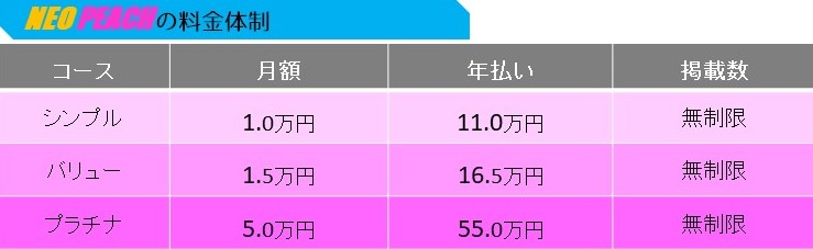 NEO PEACHの料金体系